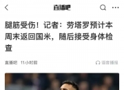 开云体育官网-AC米兰老将因伤长时间休战，或错过关键战役的简单介绍