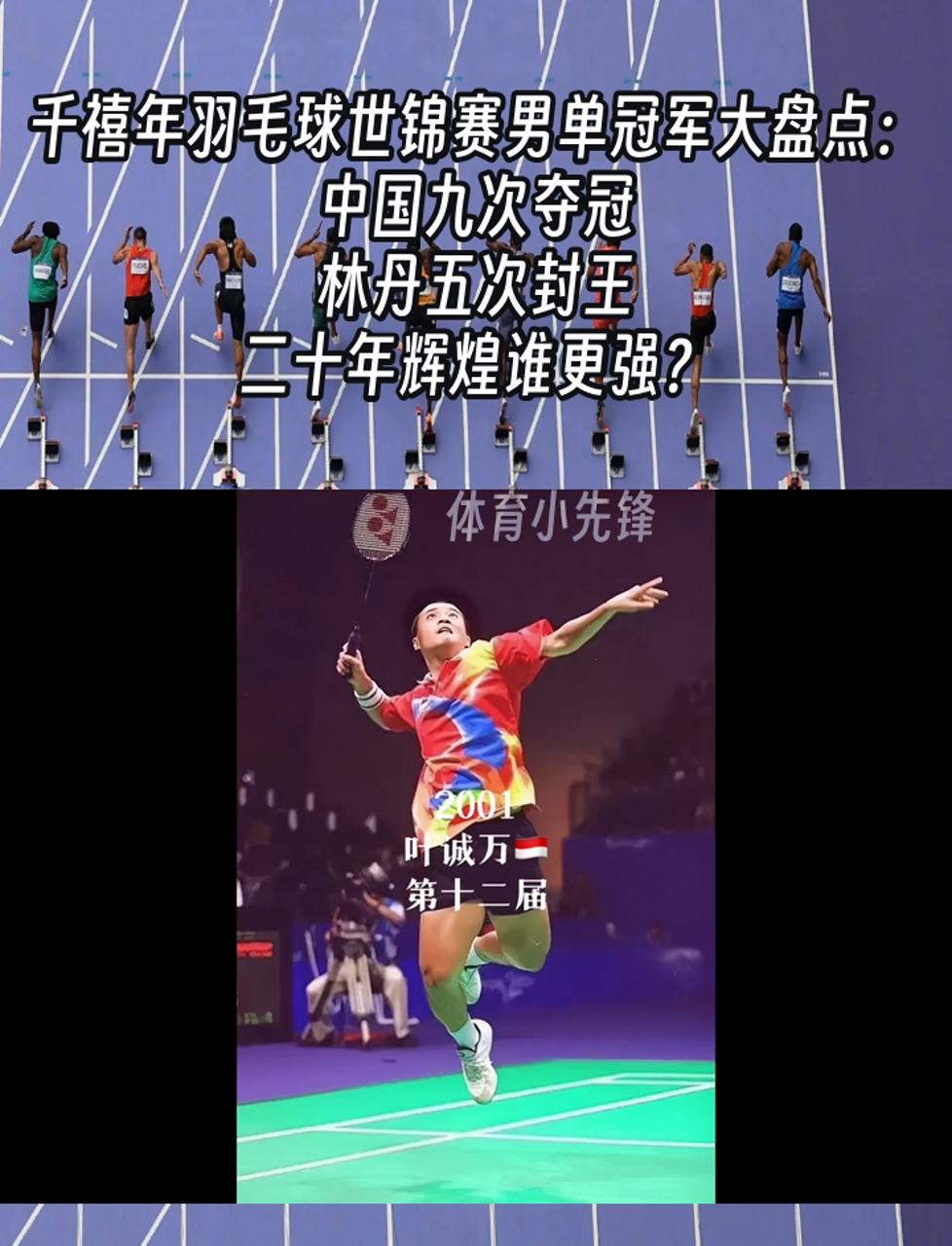 羽毛球男单高手夺冠