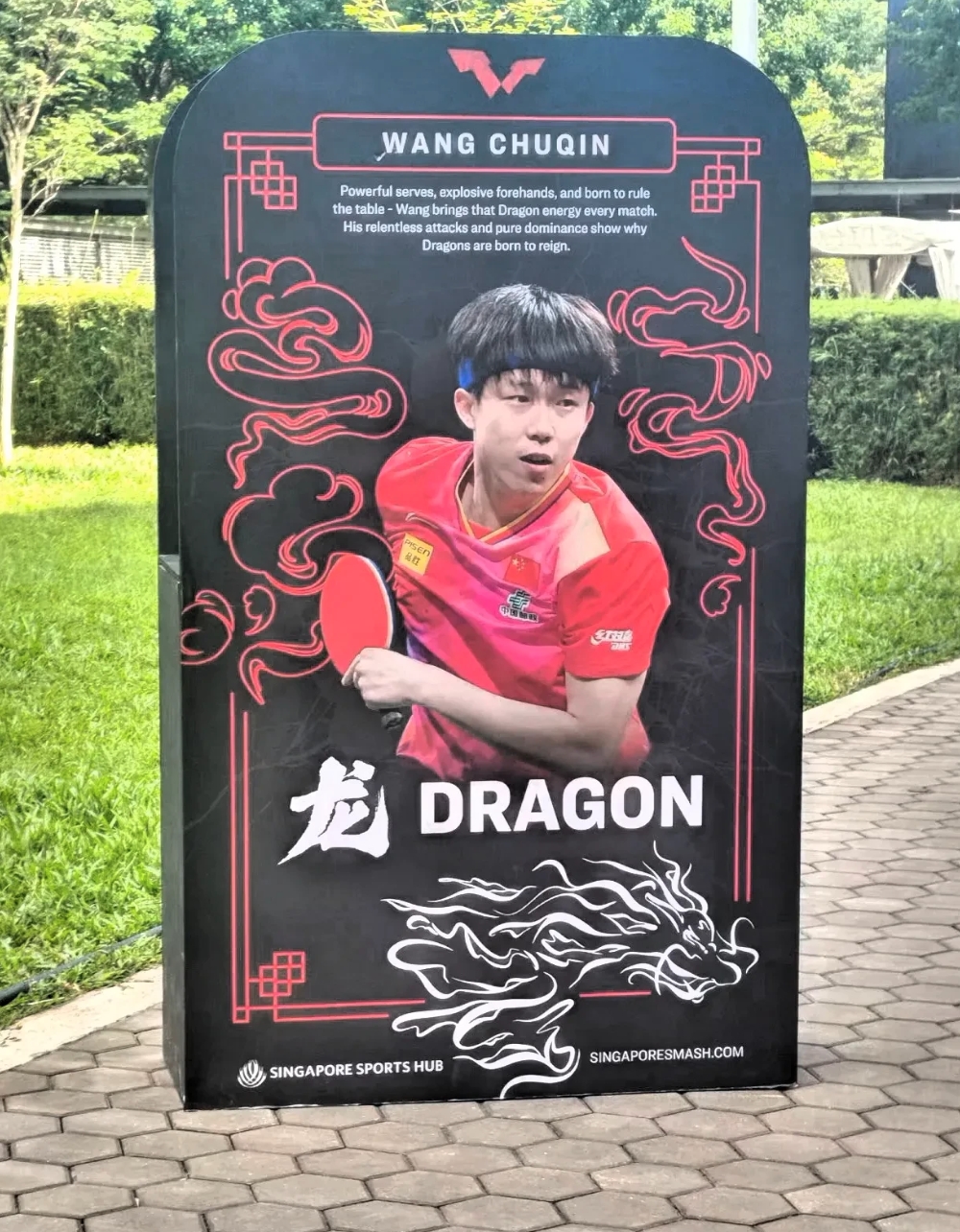 新加坡选手无往而不胜，光芒万丈的简单介绍